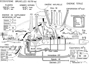 Urban metabolism Brussels