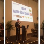 Impressions First International Conference on Energy Landscapes