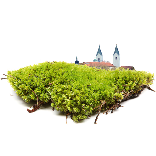 160627_Workshop TUM_flyer-moore